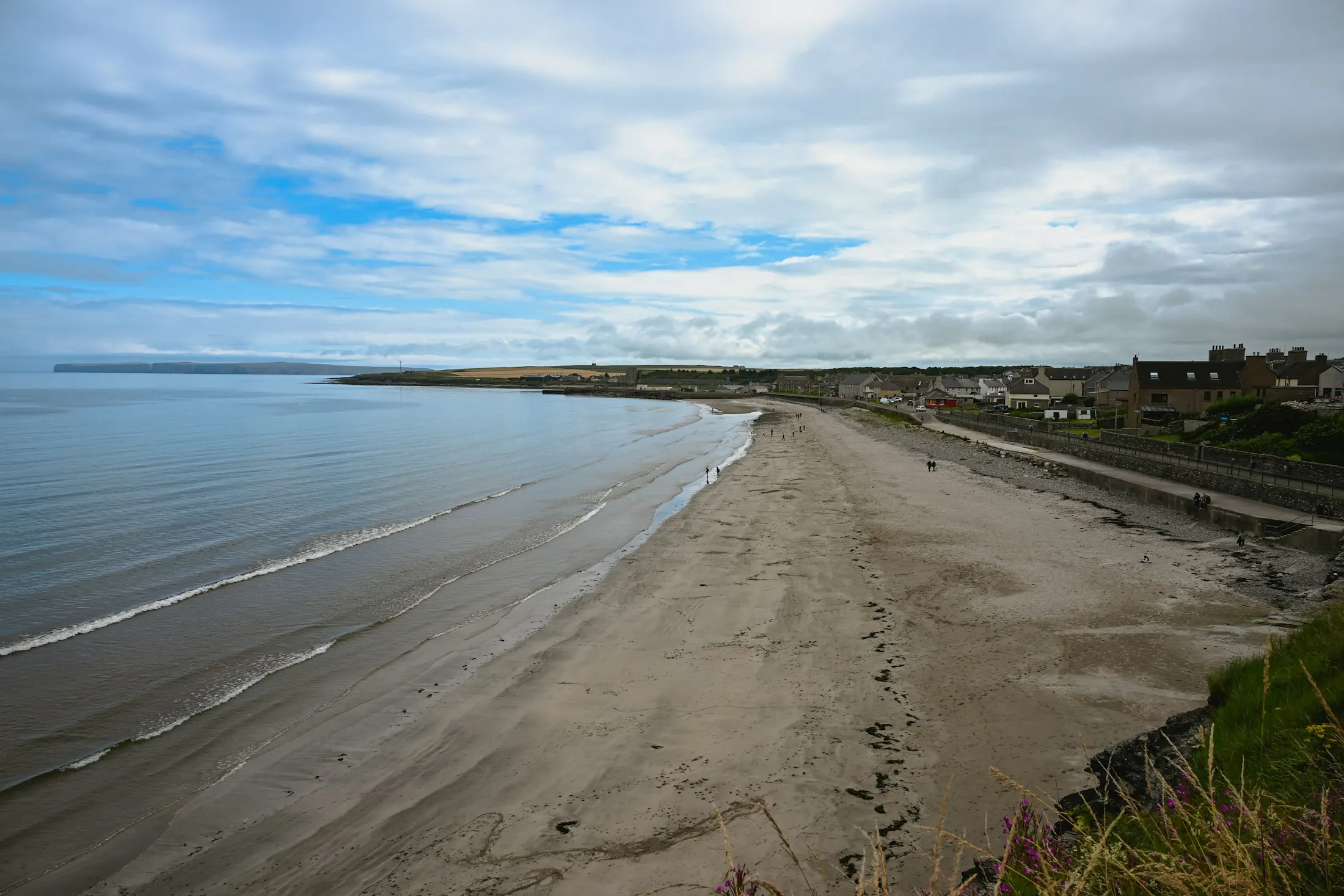 Dog friendly Aberdeen