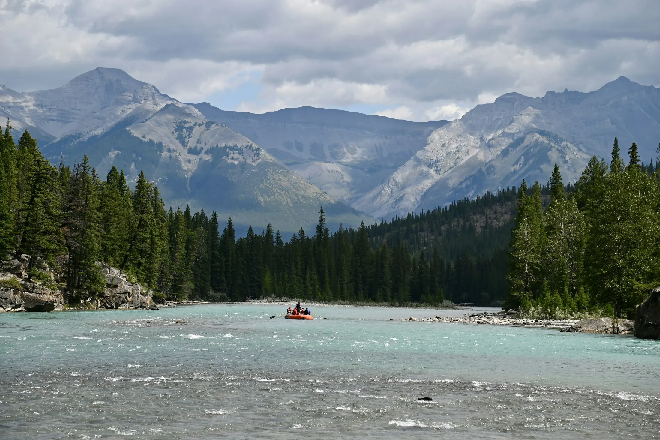 Dog friendly Banff