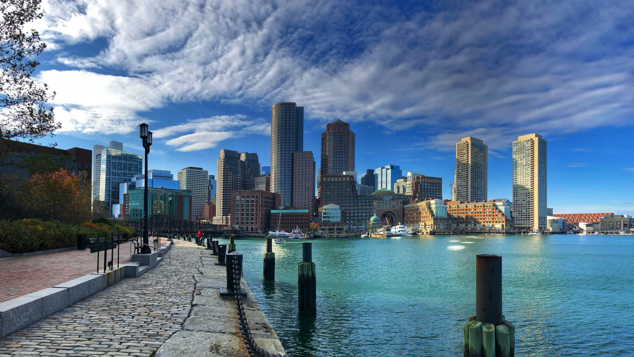 Dog friendly hotels in Boston
