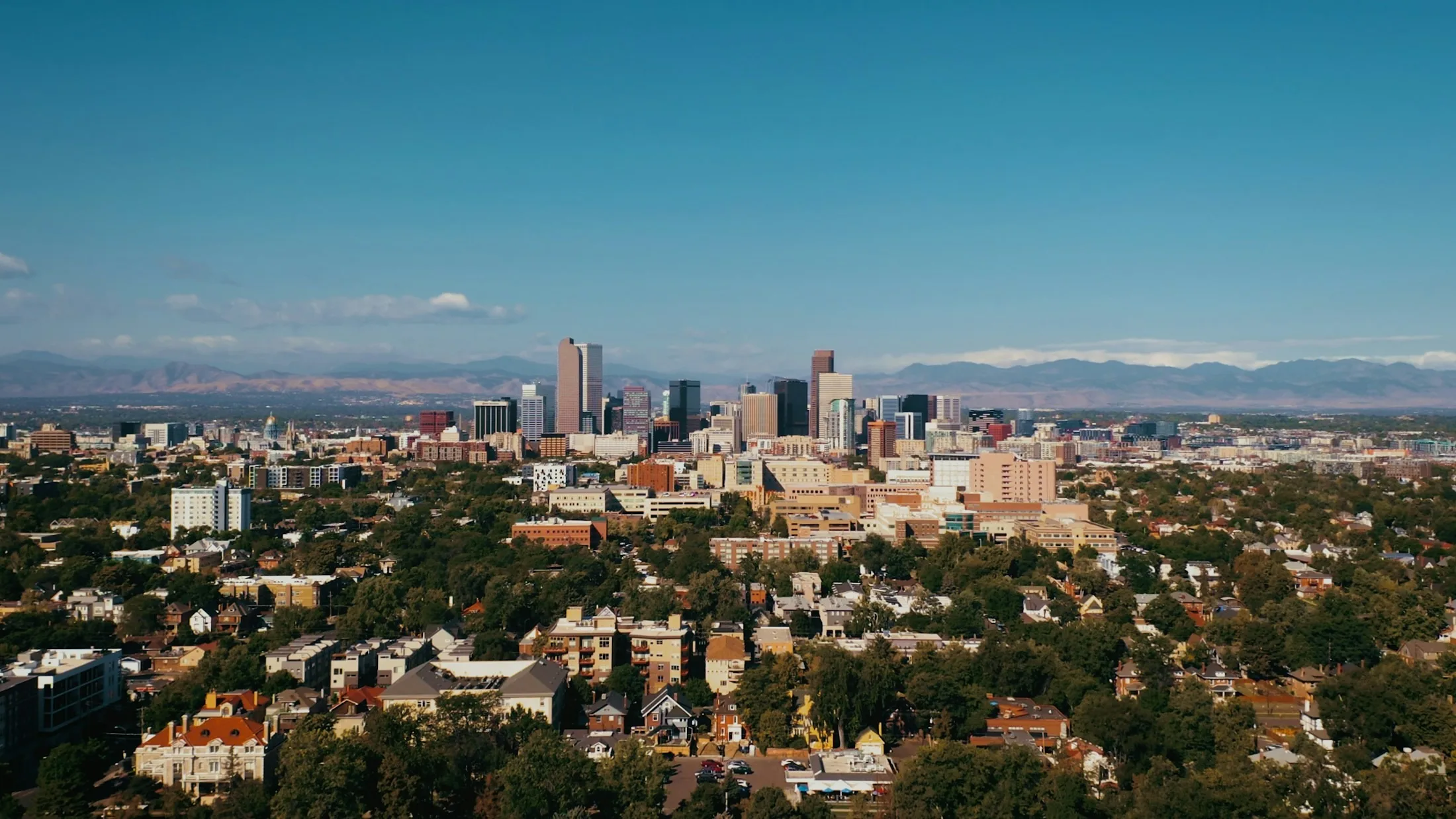 Dog friendly Denver