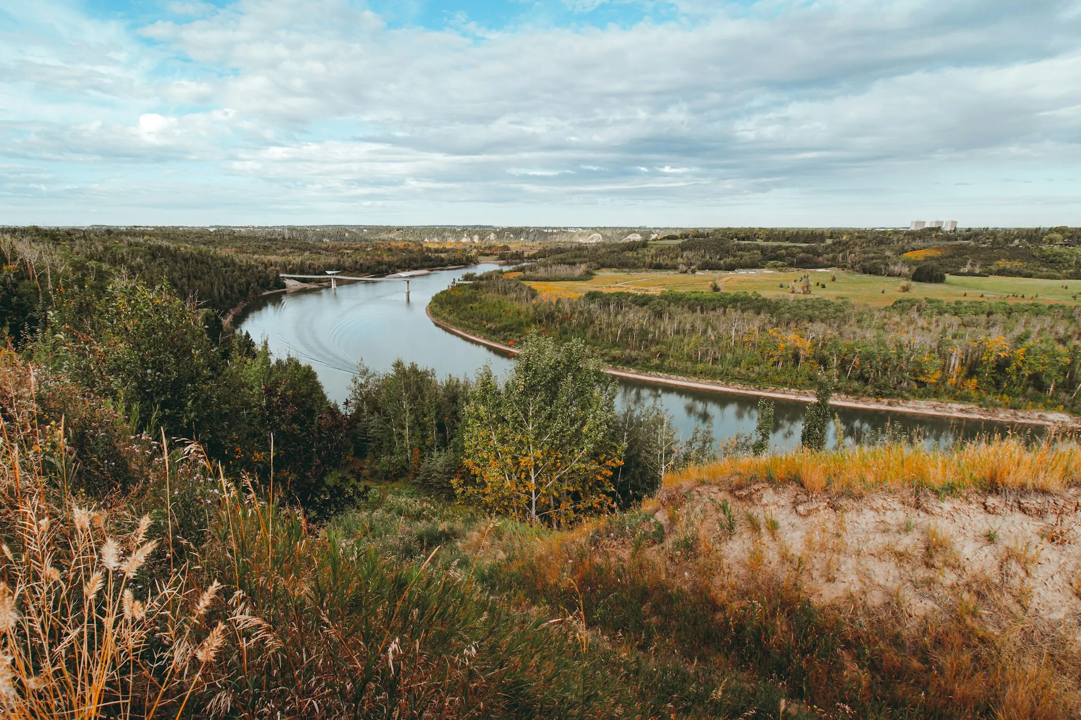 Dog friendly Edmonton