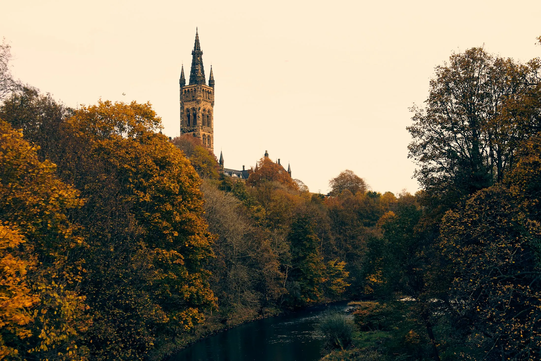 Dog friendly Glasgow
