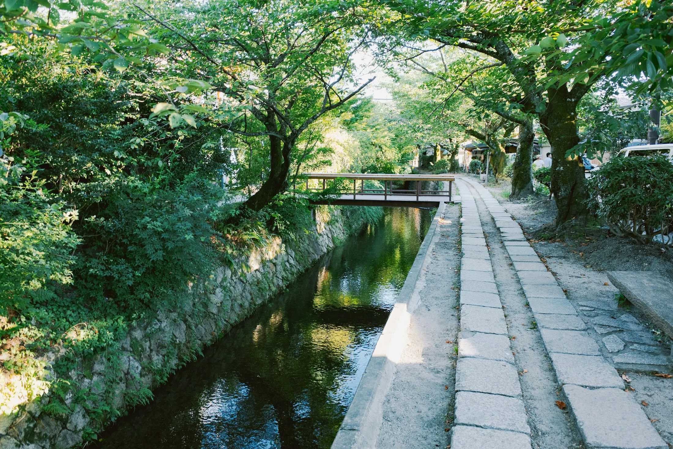 Dog friendly Kyoto