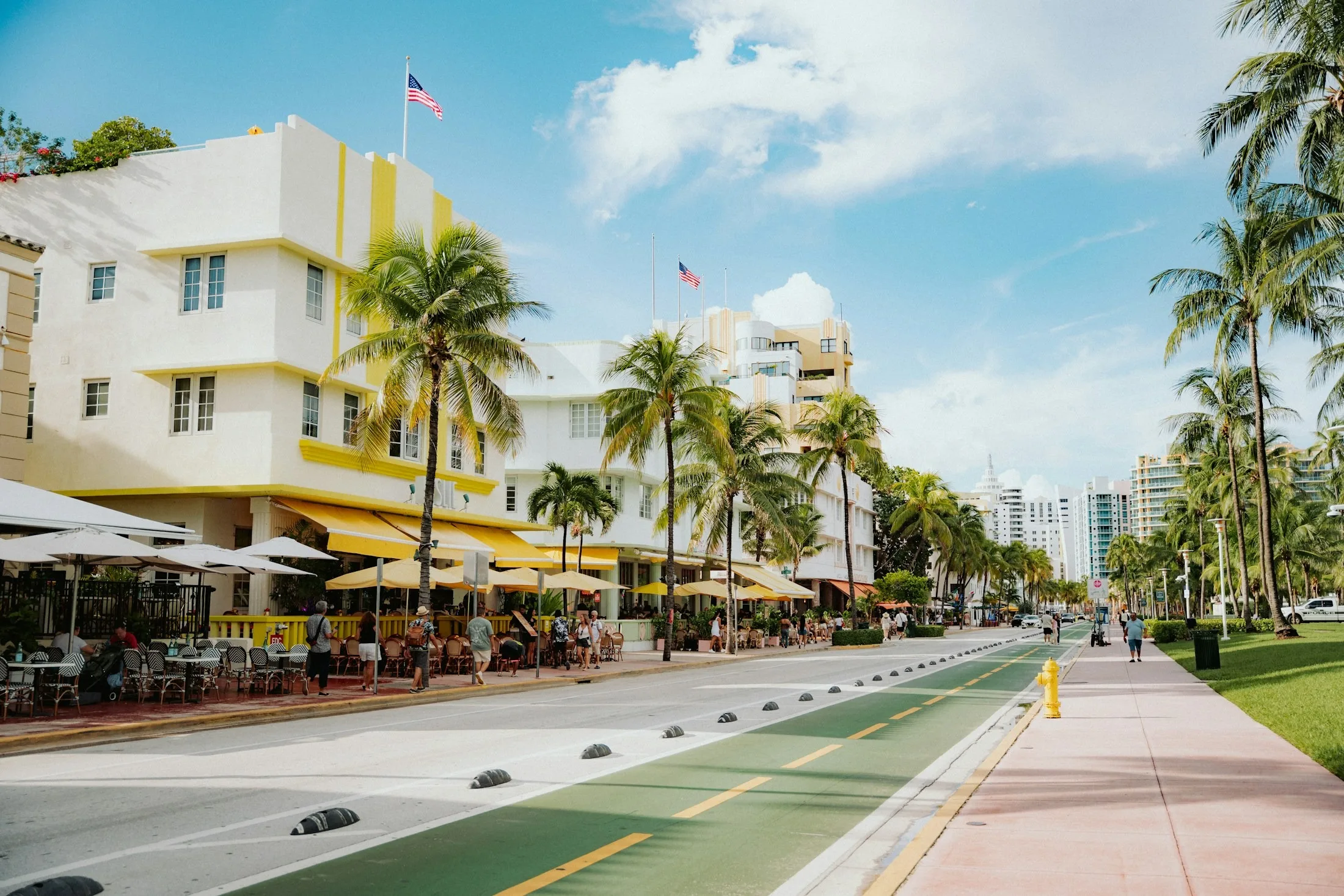 Dog friendly Miami Beach