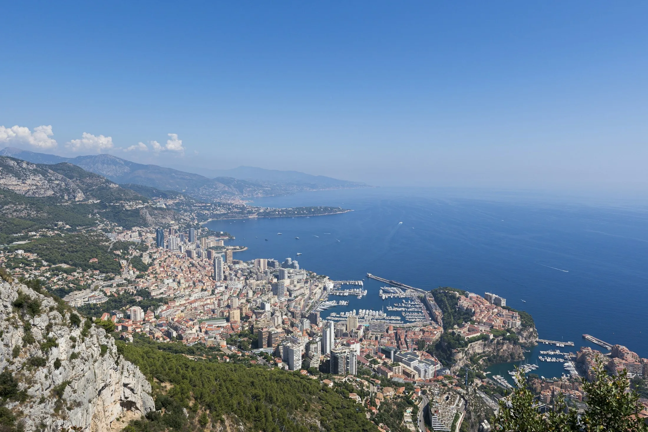 Dog friendly Monte Carlo