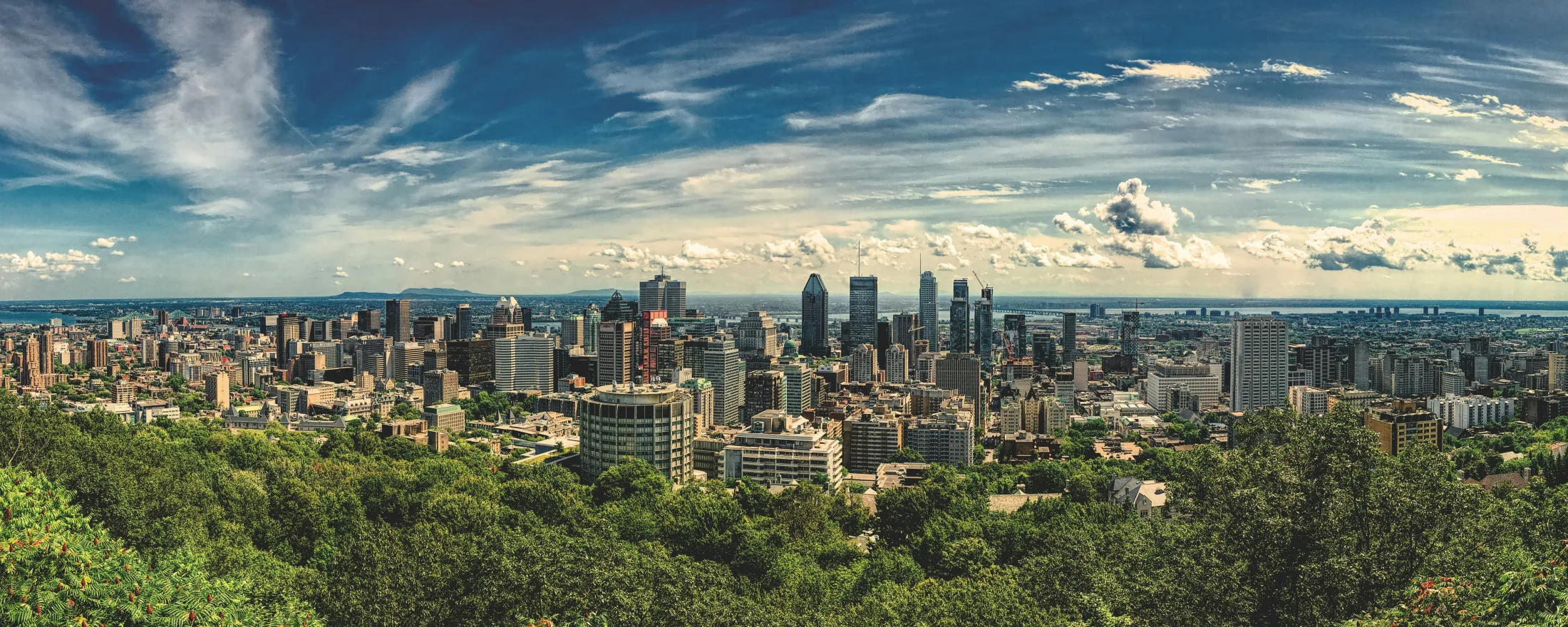 Dog friendly hotels in Montréal
