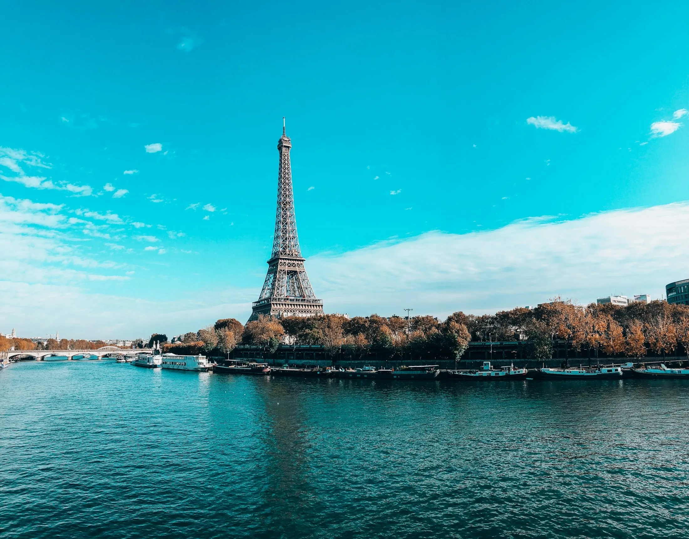 Dog friendly Paris
