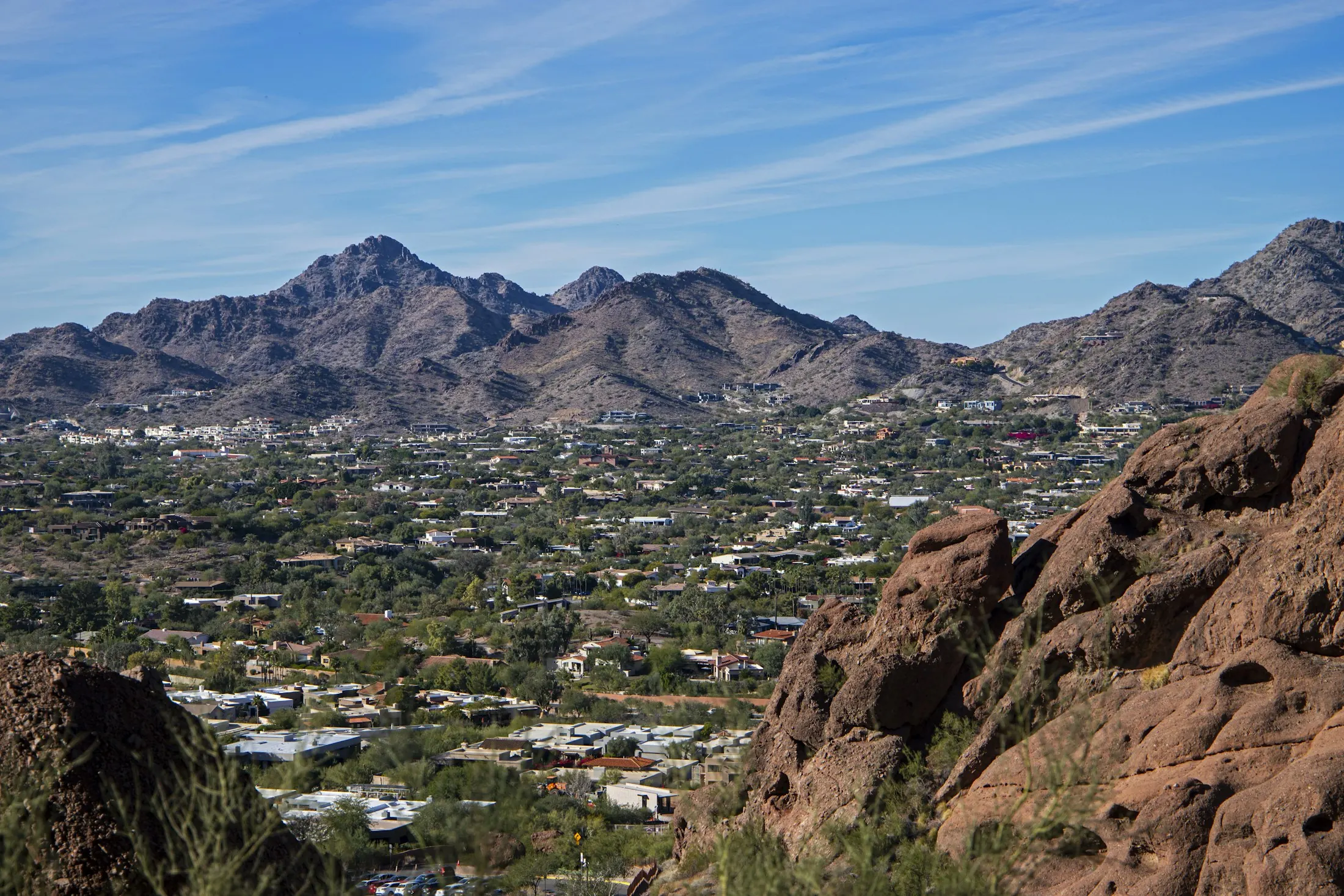 Dog friendly Phoenix