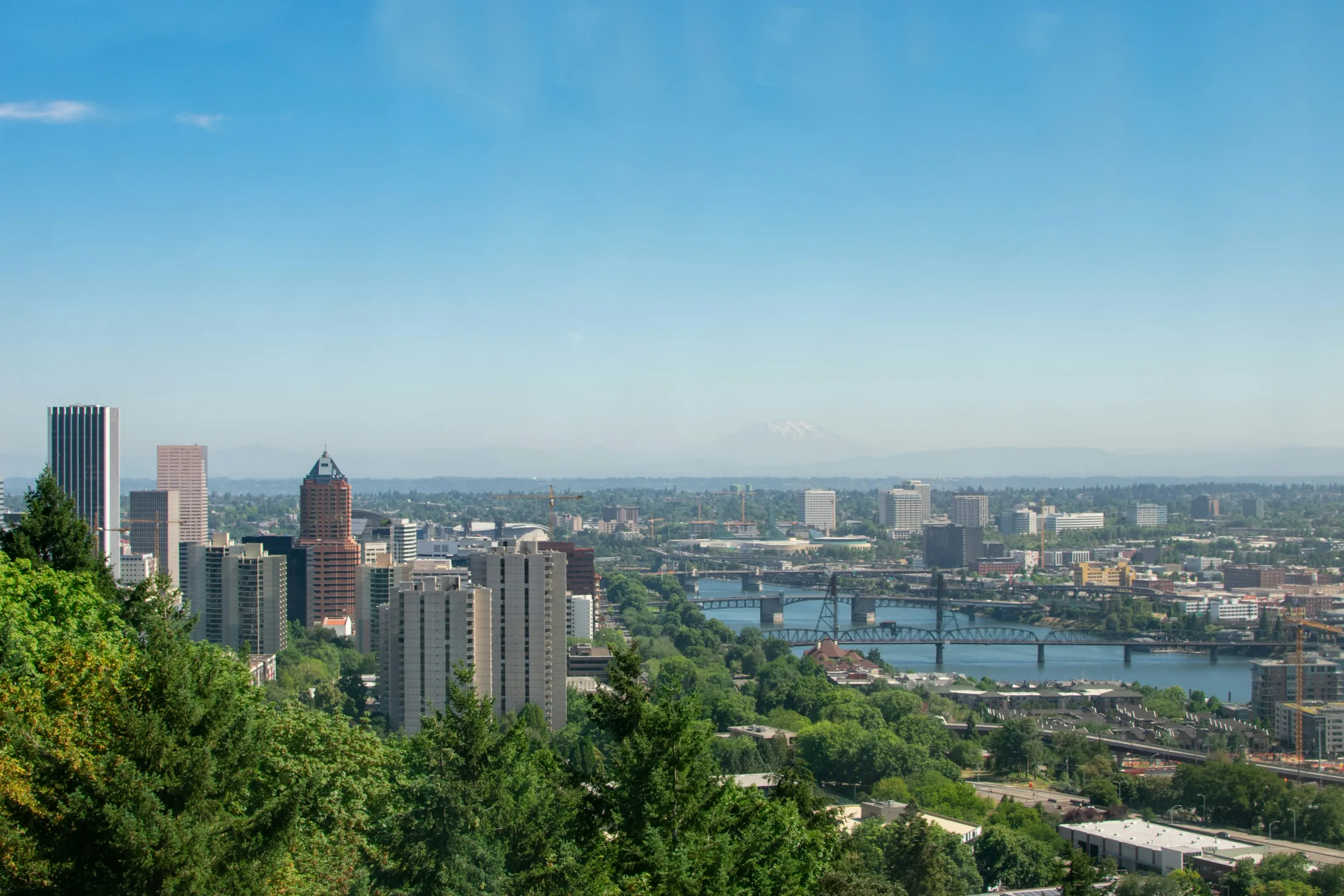 Dog friendly hotels in Portland