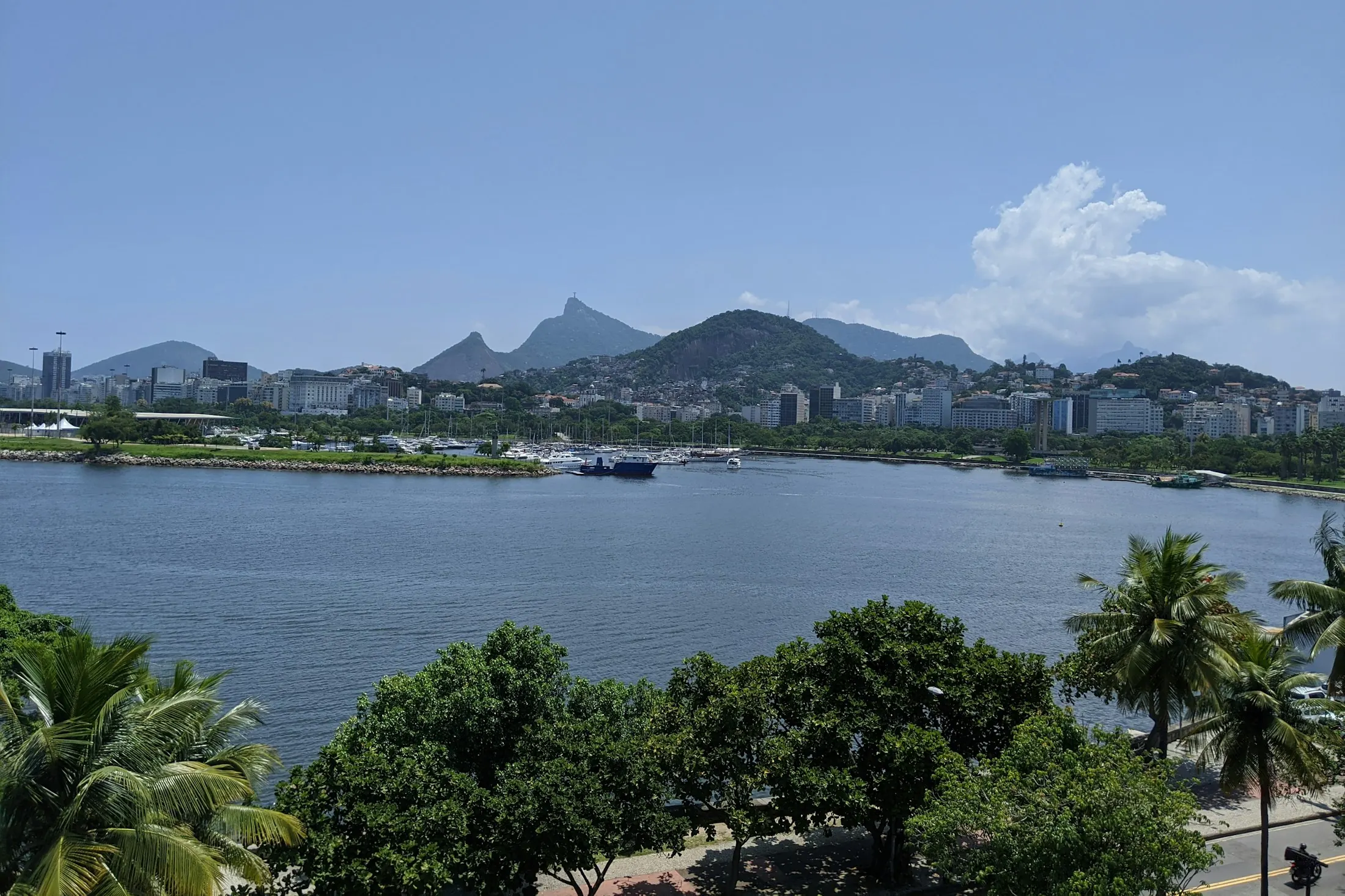 Dog friendly Rio de Janeiro