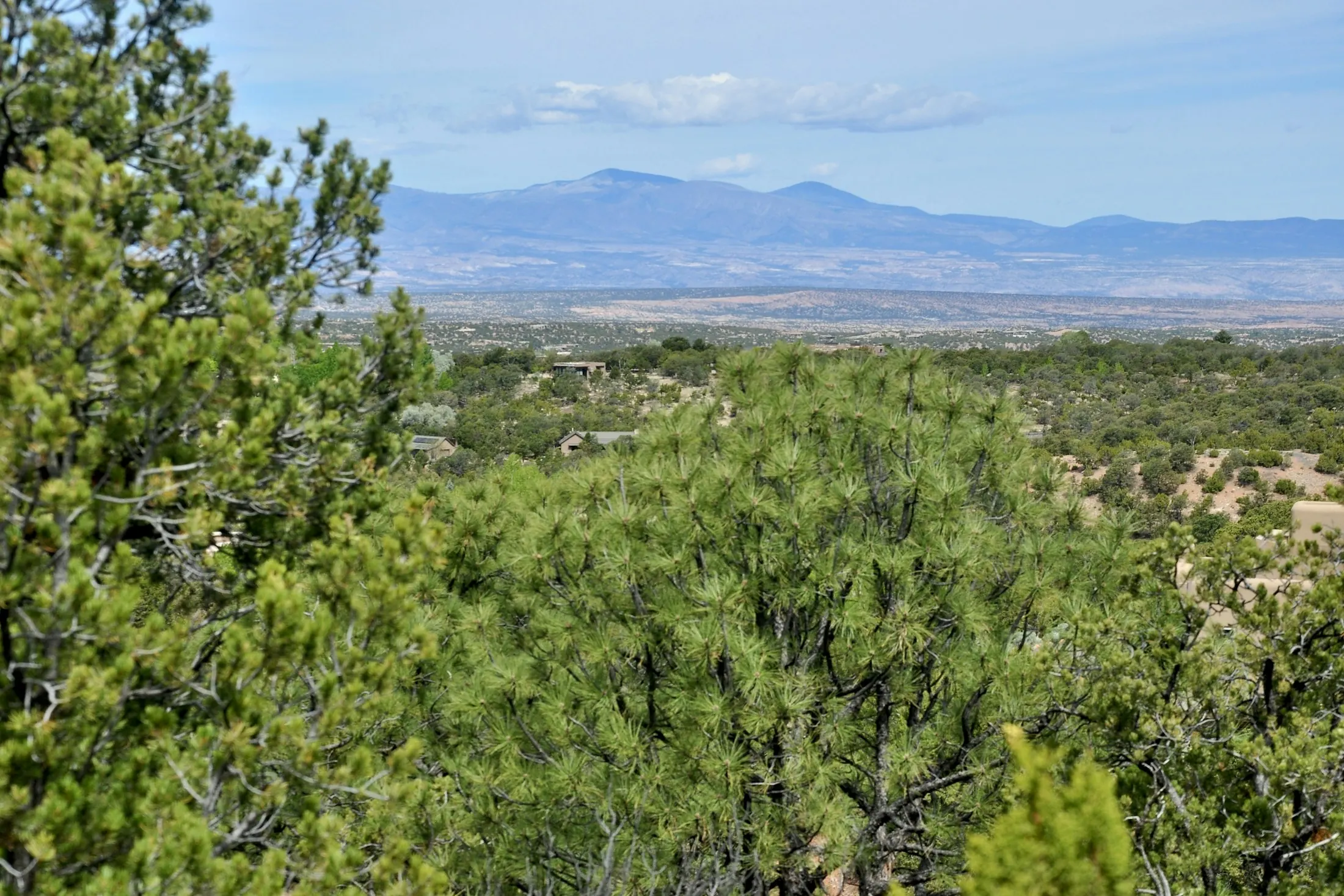 Dog friendly Santa Fe