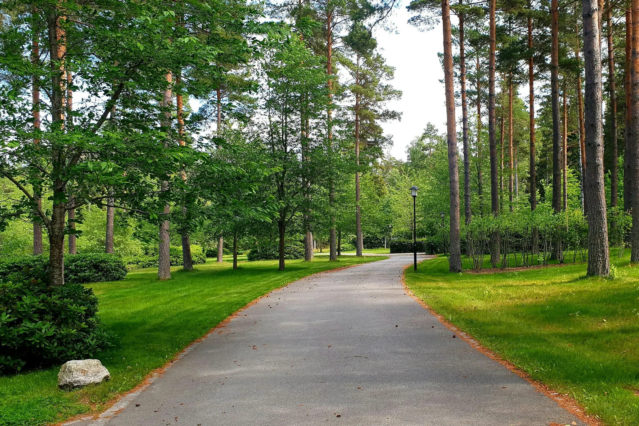 Dog friendly Stockholm