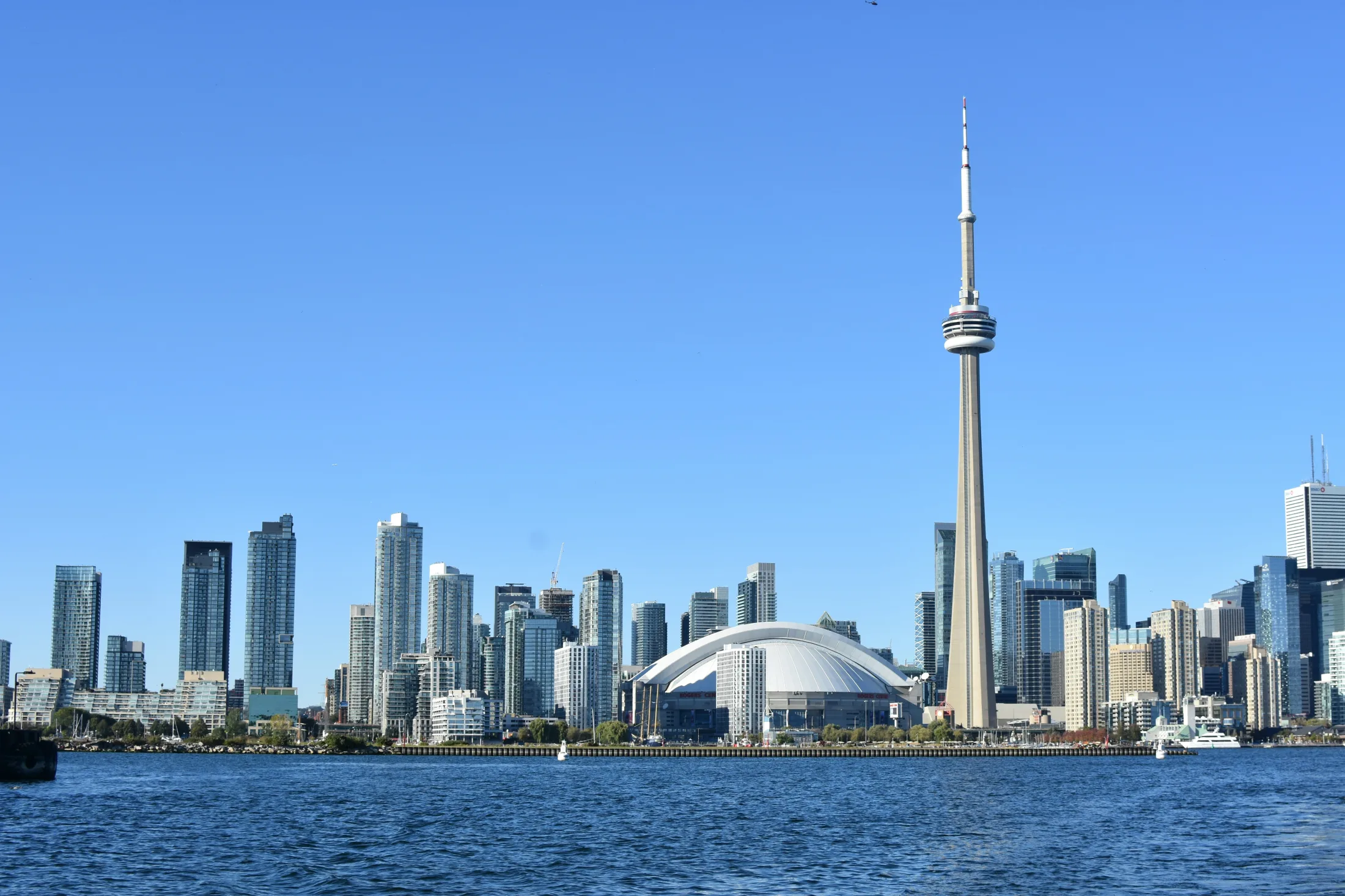Dog friendly hotels in Toronto