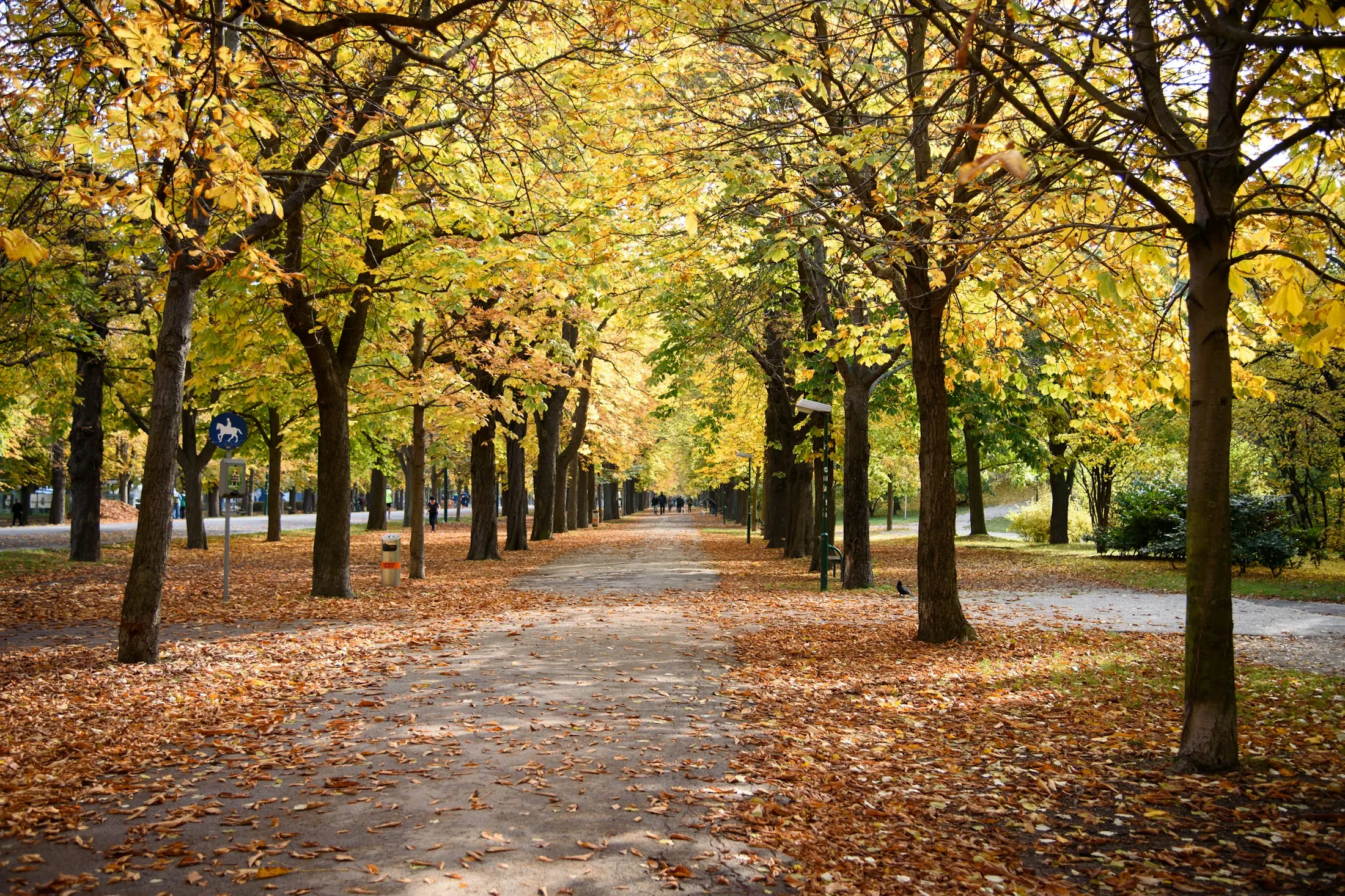 Dog friendly Vienna
