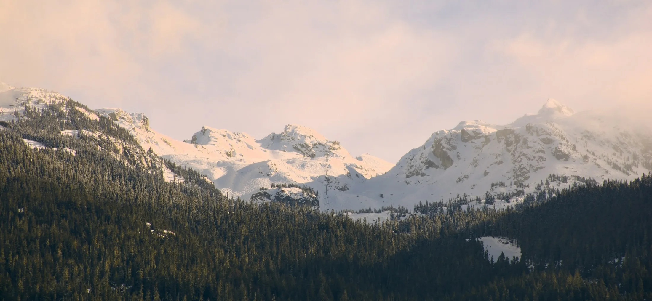 Dog friendly Whistler