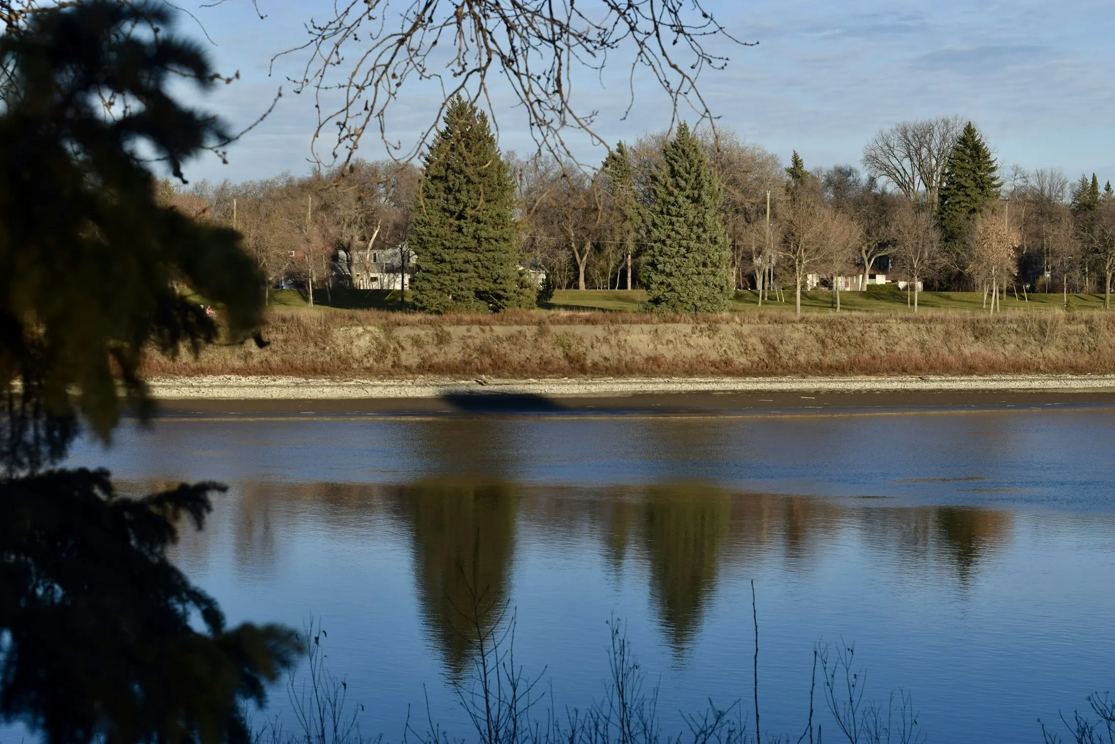 Dog friendly Winnipeg